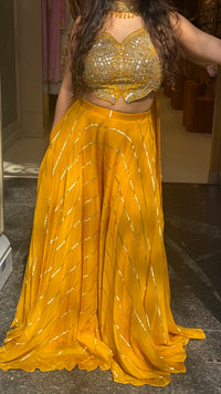Mirror Work Blouse with Banarasi Weaving Bottom Indo-Western Set
