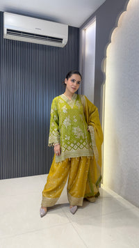 Shimmer Tissue Heavy Suit with Neam Zari Work | Party Wear Collection