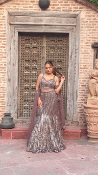 Elegant Sequence Work Fishcut Lehenga with Handwork Blouse