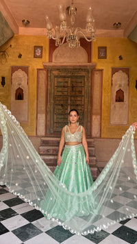 Elegant Raw Silk Lehenga with Intricate Mirror Work