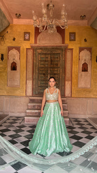 Elegant Raw Silk Lehenga with Intricate Mirror Work