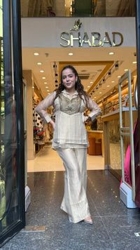 Crush Shimmer Tissue Metal Dabka & Beads Work Co-ord Set | Partywear Collection