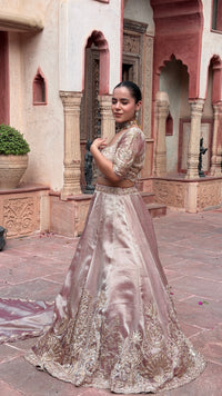 Shimmer Tissue Beads Work Designer Lehenga Set | Festive & Wedding Wear