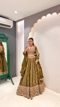 Handwork Embroidered Blouse with Banarasi Weaving Lehenga Set