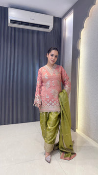 Shimmer Tissue Heavy Suit with Neam Zari Work | Party Wear Collection