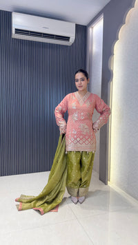 Shimmer Tissue Heavy Suit with Neam Zari Work | Party Wear Collection