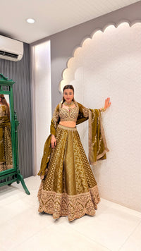 Handwork Embroidered Blouse with Banarasi Weaving Lehenga Set
