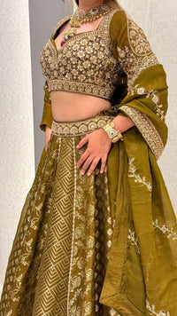 Handwork Embroidered Blouse with Banarasi Weaving Lehenga Set
