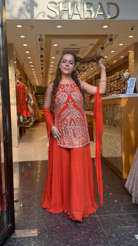 Designer Dori Sequin Cutdana Suit Set
