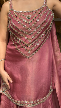 Luxury Shimmer Tissue Suit Set with Sequin, Beads & Stone Work