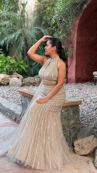 Luxury Fish Cut Lehenga with Zarkan & Sequin Handwork Blouse