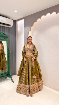 Handwork Embroidered Blouse with Banarasi Weaving Lehenga Set