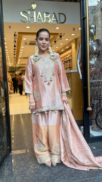 Budget-Friendly Dori Work Suit Set in Shimmer Silk | Sizes Up to 46