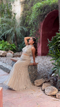 Luxury Fish Cut Lehenga with Zarkan & Sequin Handwork Blouse