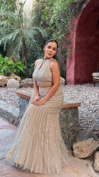 Luxury Fish Cut Lehenga with Zarkan & Sequin Handwork Blouse