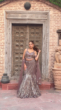Elegant Sequence Work Fishcut Lehenga with Handwork Blouse