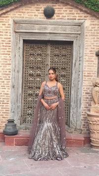 Elegant Sequence Work Fishcut Lehenga with Handwork Blouse