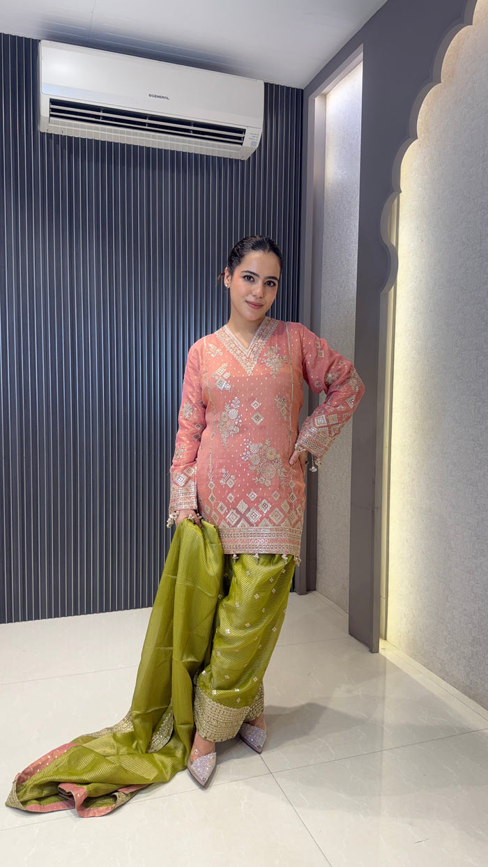 Shimmer Tissue Heavy Suit with Neam Zari Work | Party Wear Collection