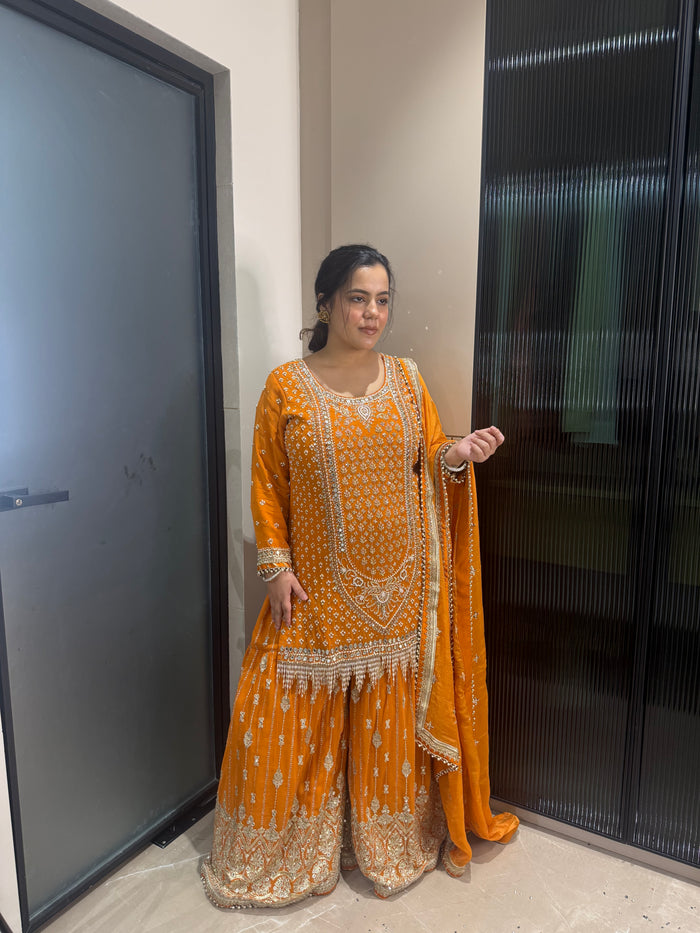Handwork suit with pearls mirror stones sequin and dabka detailing