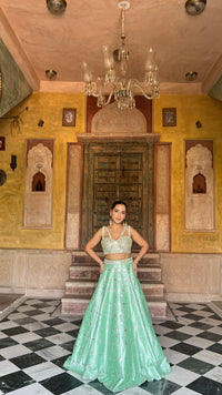 Elegant Raw Silk Lehenga with Intricate Mirror Work