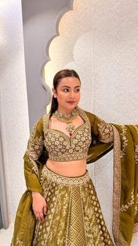 Handwork Embroidered Blouse with Banarasi Weaving Lehenga Set