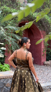 Banarasi Shimmer Silk Lehenga with Thread Hand-Embroidered Blouse