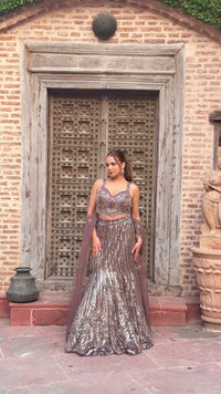 Elegant Sequence Work Fishcut Lehenga with Handwork Blouse