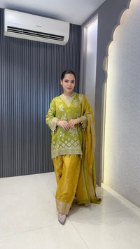 Shimmer Tissue Heavy Suit with Neam Zari Work | Party Wear Collection