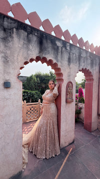 Fish-Cut Lehenga with cutdana, Pearls & Sequin Work | Designer Lehenga