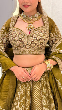 Handwork Embroidered Blouse with Banarasi Weaving Lehenga Set