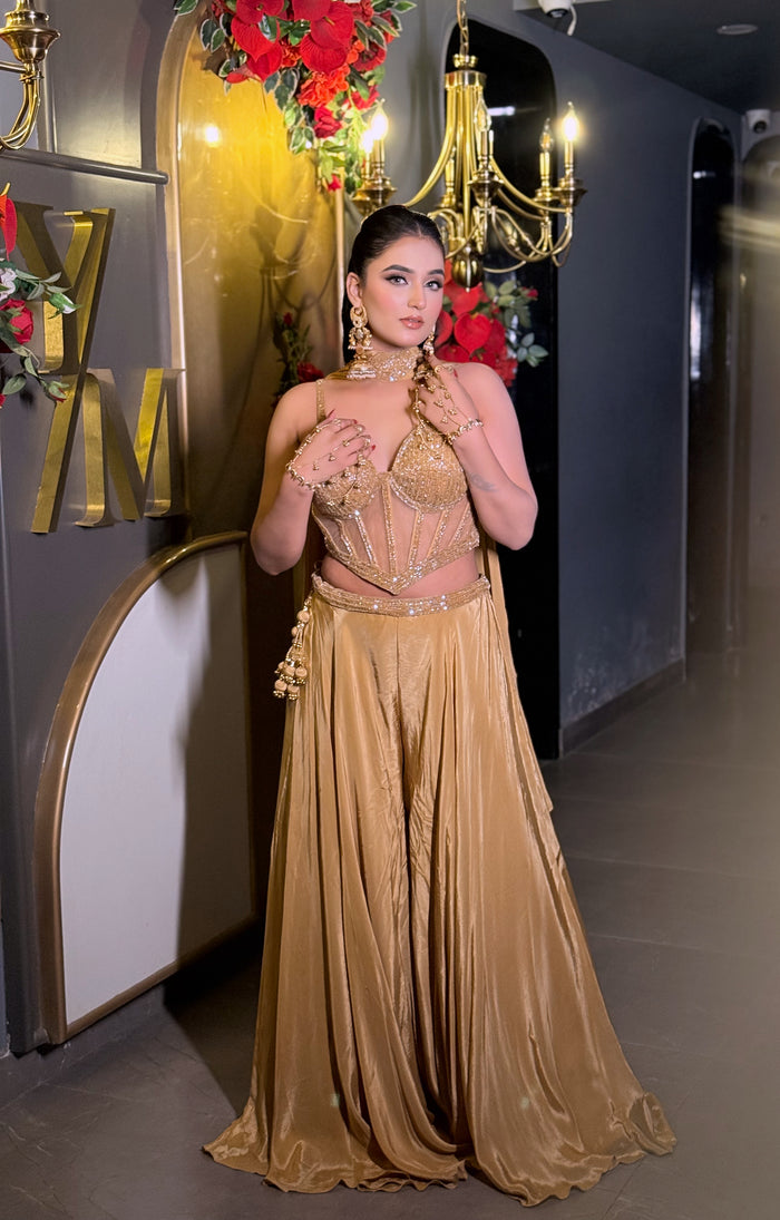 Handwork Sequin & Cutdana Indo Western Set with Corset Blouse (Upto Size 42)