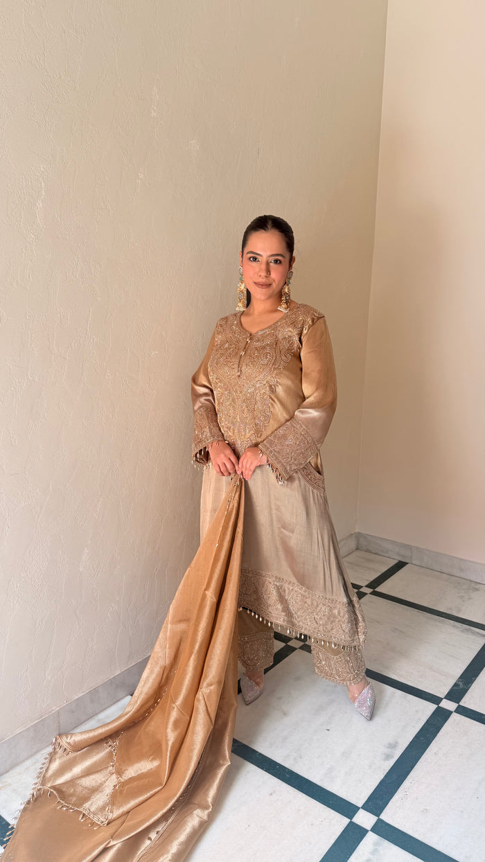 Shimmer Silk Suit with Elegant Beads Work