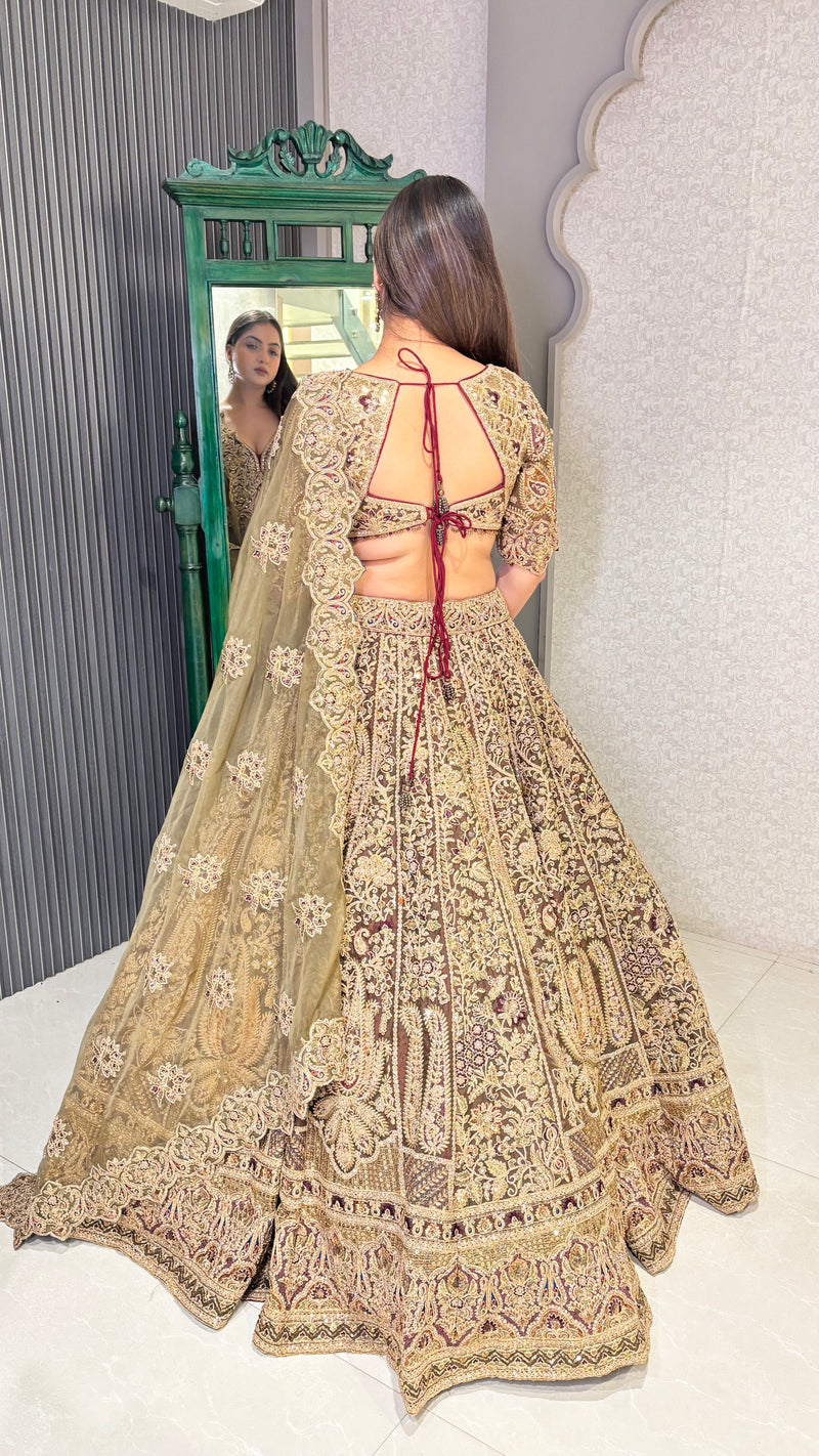 Elegant Organza Lehenga with Dori, Pearl & Sequin Work