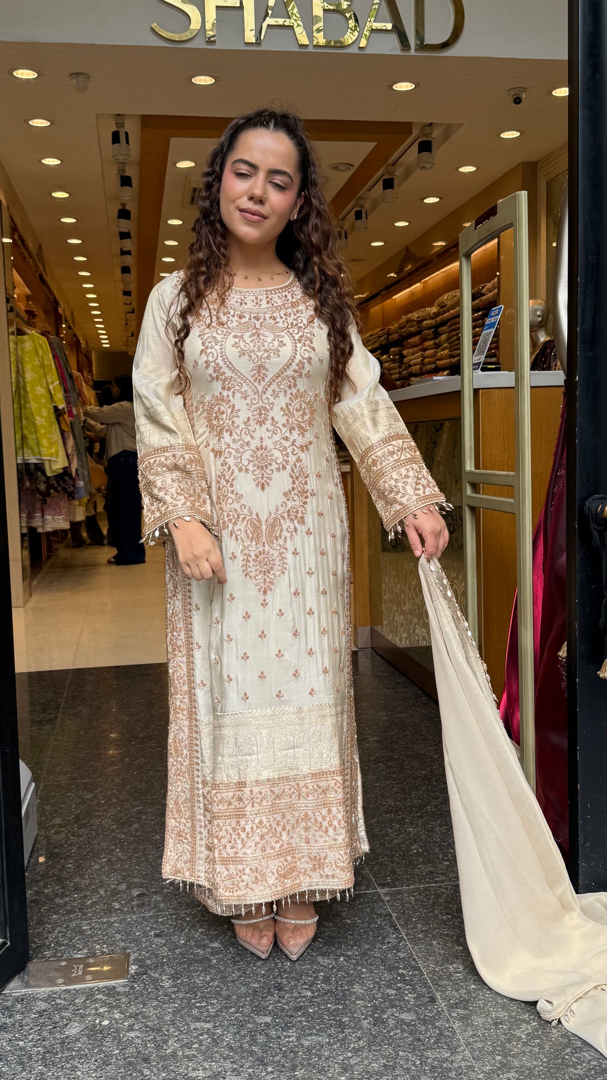Women's Banarasi Shimmer Suit Set with Gold Beads Work