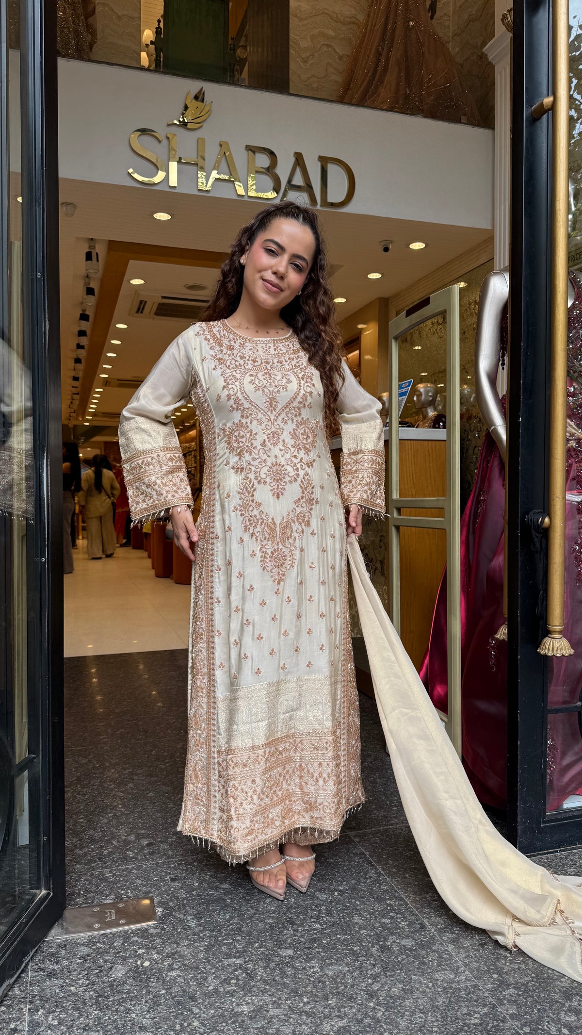 Women's Banarasi Shimmer Suit Set with Gold Beads Work