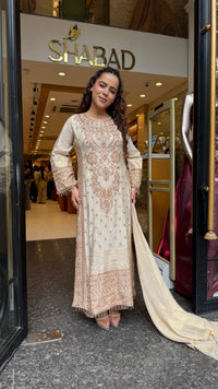 Women's Banarasi Shimmer Suit Set with Gold Beads Work