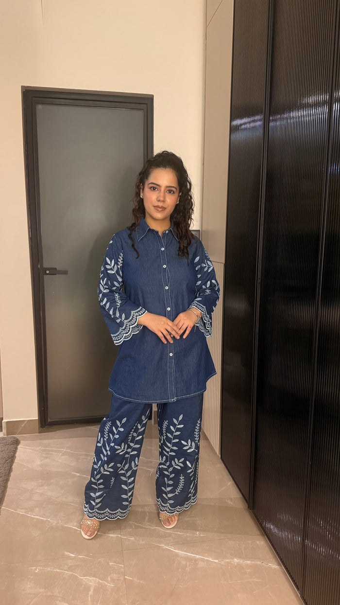 Denim Co-ord Set with Thread Embroidery
