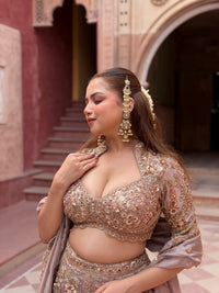 Shimmer Tissue Lehenga with Beads, Thread & Sequin Cutdana Work