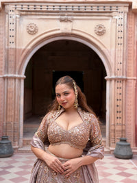 Shimmer Tissue Lehenga with Beads, Thread & Sequin Cutdana Work