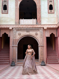 Shimmer Tissue Lehenga with Beads, Thread & Sequin Cutdana Work