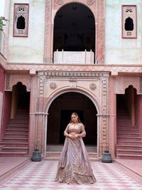 Shimmer Tissue Lehenga with Beads, Thread & Sequin Cutdana Work