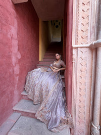 Shimmer Tissue Lehenga with Beads, Thread & Sequin Cutdana Work