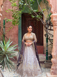 Shimmer Tissue Lehenga with Beads, Stone & Sequin Work | Velvet Dupatta