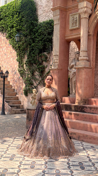 Shimmer Tissue Lehenga with Beads, Stone & Sequin Work | Velvet Dupatta