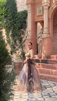 Shimmer Tissue Lehenga with Beads, Stone & Sequin Work | Velvet Dupatta