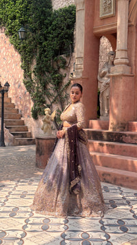 Shimmer Tissue Lehenga with Beads, Stone & Sequin Work | Velvet Dupatta