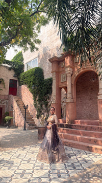 Shimmer Tissue Lehenga with Beads, Stone & Sequin Work | Velvet Dupatta