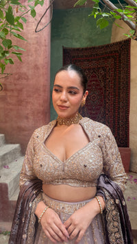 Shimmer Tissue Lehenga with Beads, Stone & Sequin Work | Velvet Dupatta