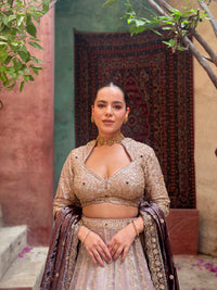 Shimmer Tissue Lehenga with Beads, Stone & Sequin Work | Velvet Dupatta