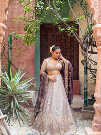 Shimmer Tissue Lehenga with Beads, Stone & Sequin Work | Velvet Dupatta